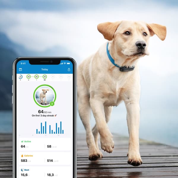 Tractive GPS hunde tracker med aktivitetstracking CDON