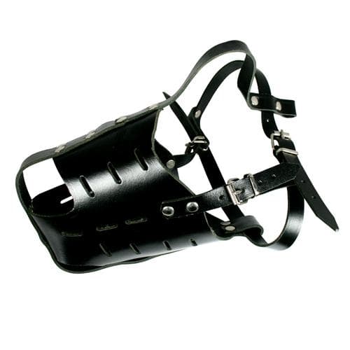 Specialmunkorg för Bullterier & liknande