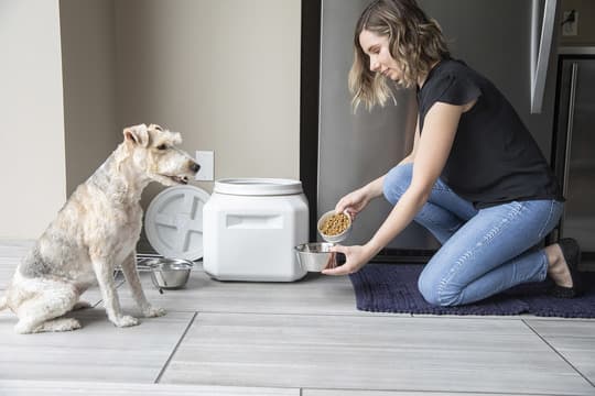 Gamma Vittles Vault Outback - Gamma-laatikot ovat totta kotitalouksien nimi, koska tämä pakkaus sulkeutuu ilmatiiviisti ja on erittäin kestävä.