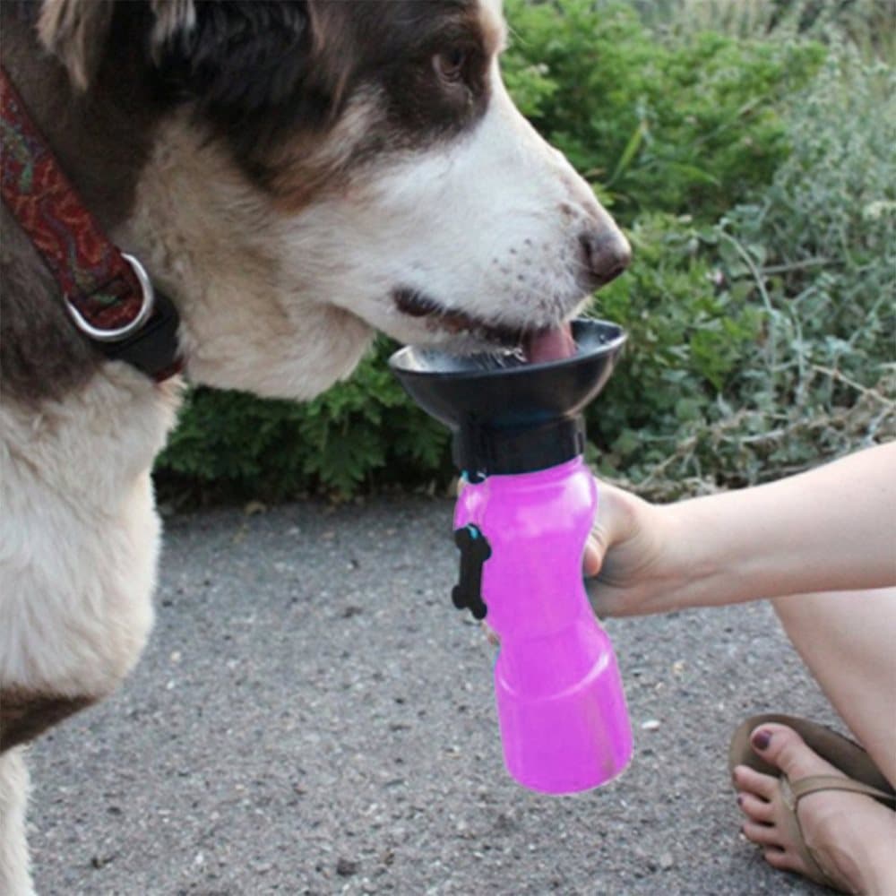 Vattenflaska för Hund / Hundflaska med Skål / Tratt - Portabel | CDON