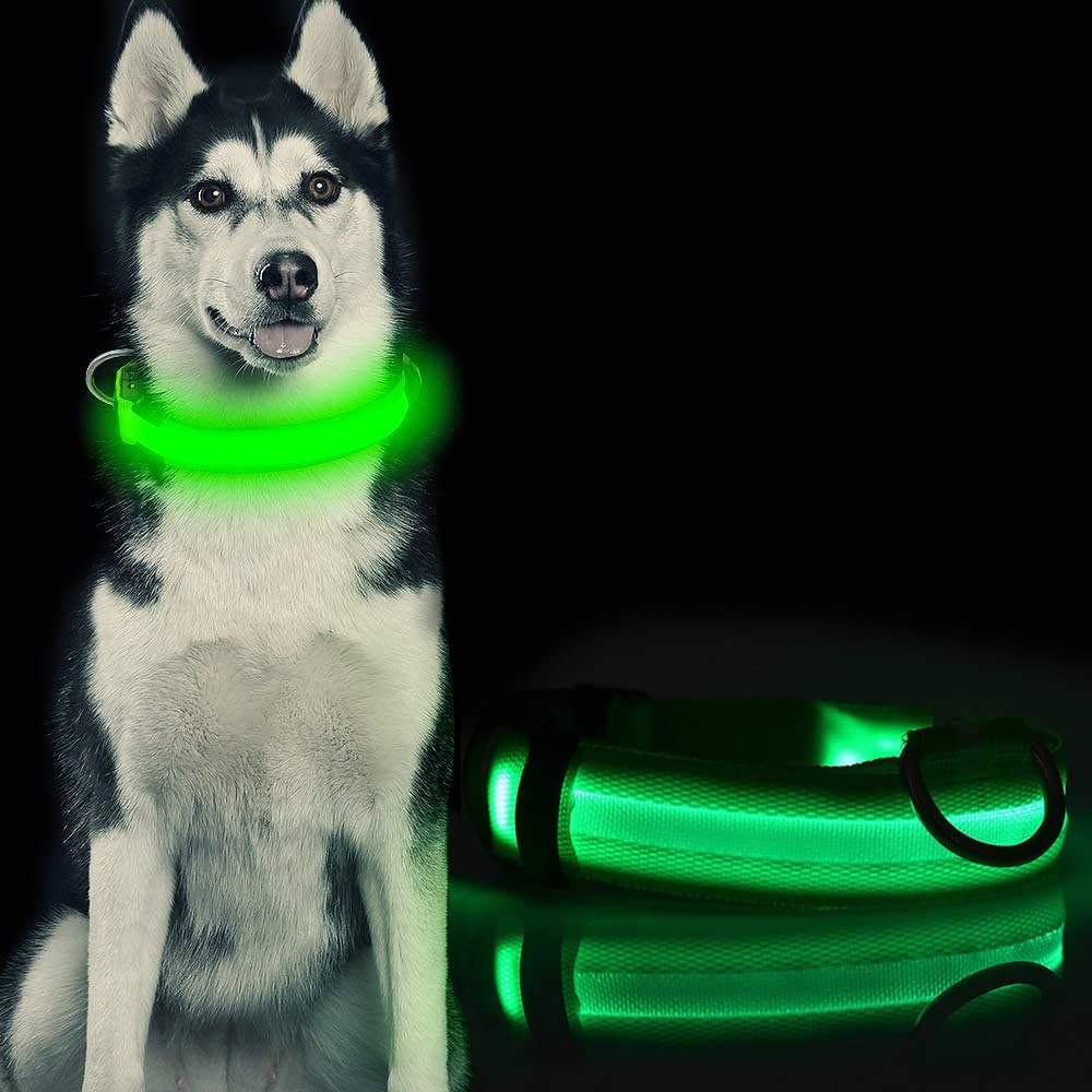 LED Hundhalsband / Halsband för Hund med Reflex - Grön (L)