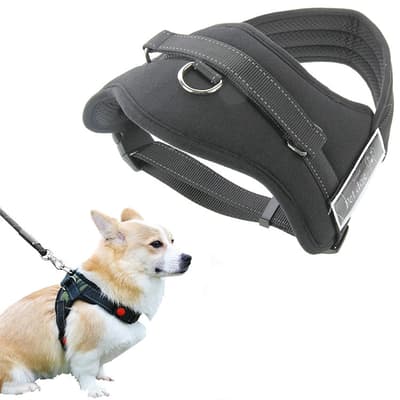 Hundsele / Sele till Hund, Svart - Large