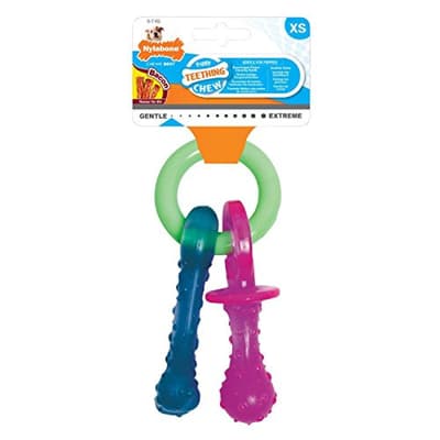 Nylabone Bacon Flavoured Dummy Puppy Chew Toy