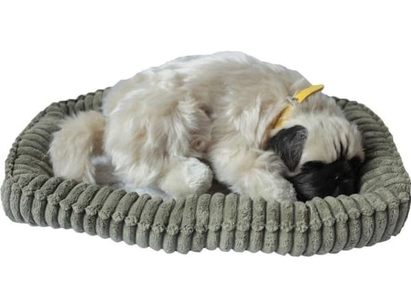 Askato Sleeping dog on a pillow Pug