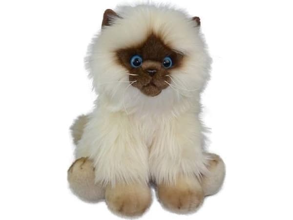 Anek Fluffy Fam kot Siamese 30cm