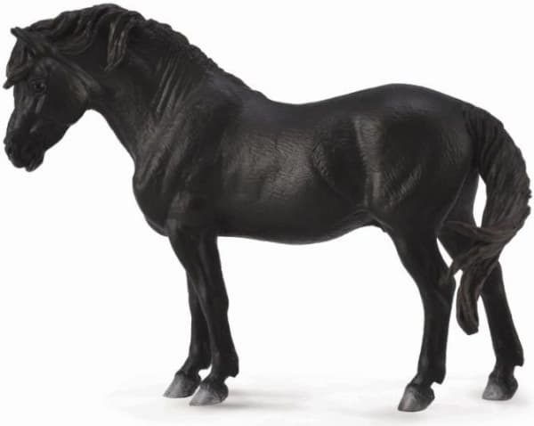 Figurine Collecta Black Dartmoor Foal (88603)