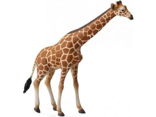 CollectA Reticulated Giraffe XL toy