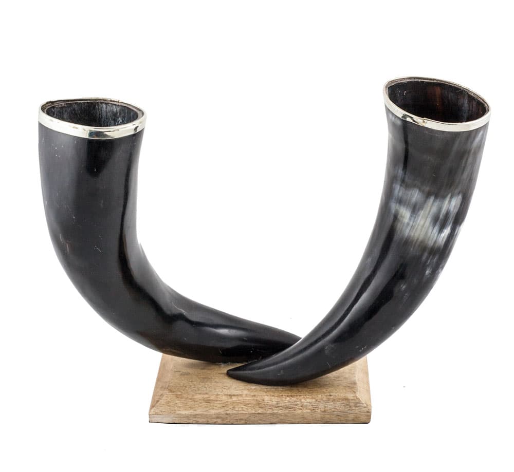 Vas av horn