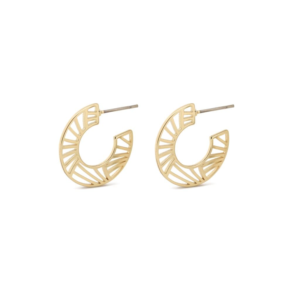 Pilgrim Øredobber, Asami, Gold Plated