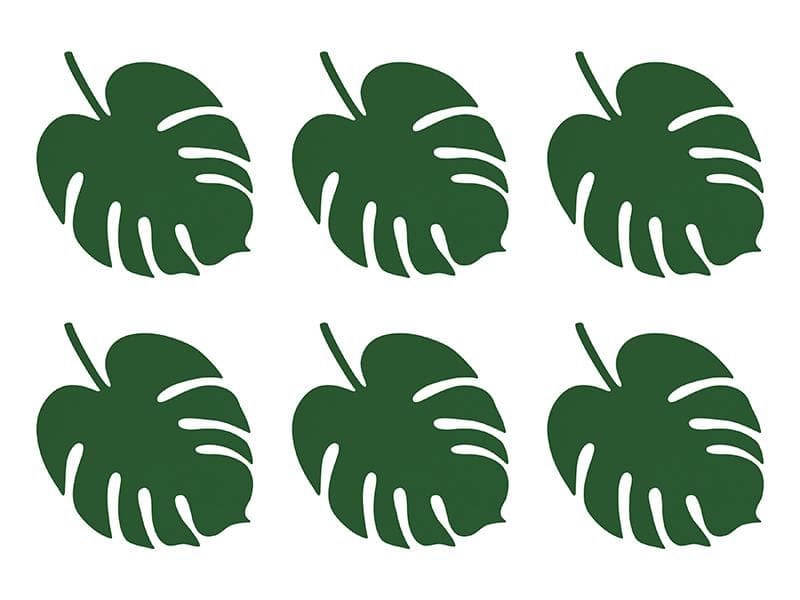 Bordsdekorationer - Aloha - Blad