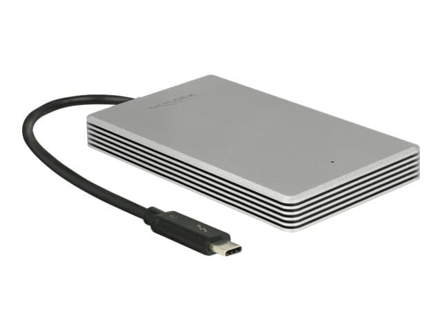 DeLOCK - Solid State Drive - 240 GB - ekstern (bærbar) - M.2 - Thunderbolt 3 (USB-C kontakt) - sølv