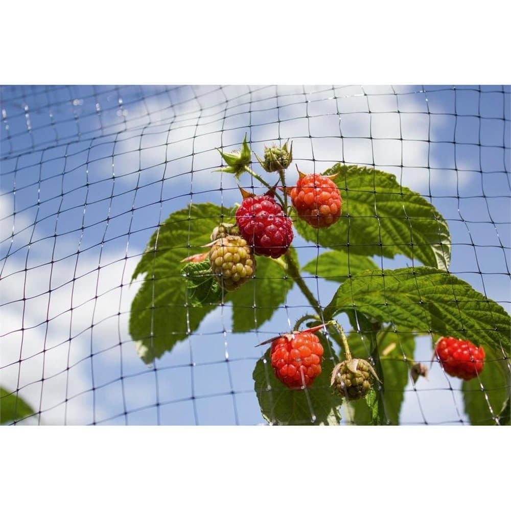 Ambassador Fruit Cage Net