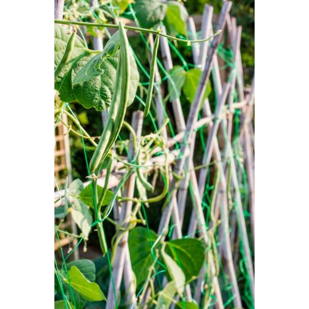 Ambassador Pea & Bean Net