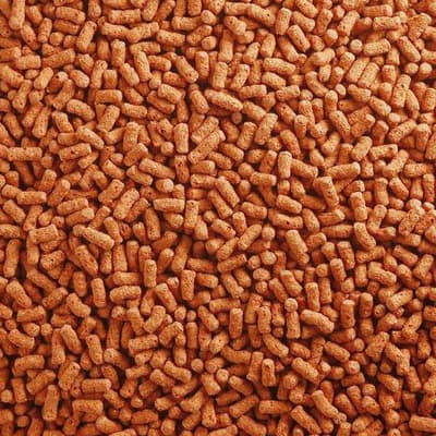 Pettex Premium Koi Sticks