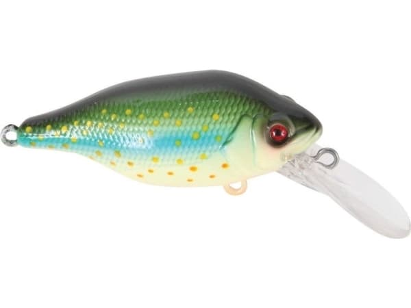 Fox Rage Wobler Funk Bug SR 5cm Hot Dot (NHL259)