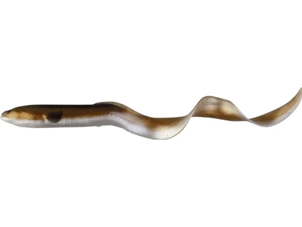 Savage Gear LB Real Eel 30cm 56g + 8g Olive Pearl NL 2 + 2pcs. (45011)
