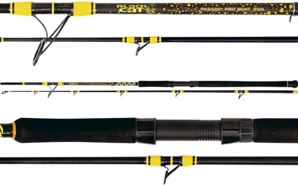 Black Cat Rod Passion Pro DX Boat 2.50m 400g