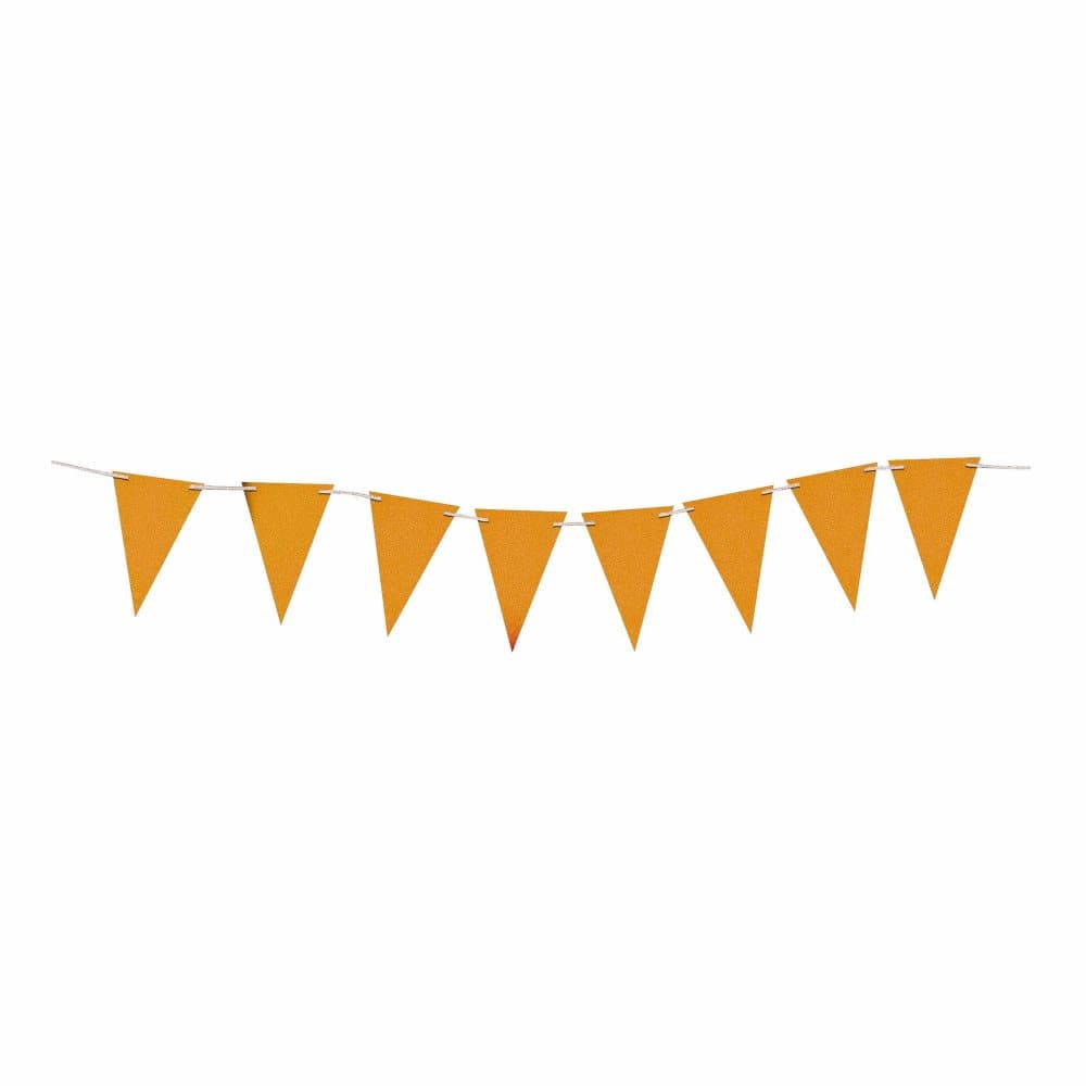 Bristol Novelty Glitter Flag Banner