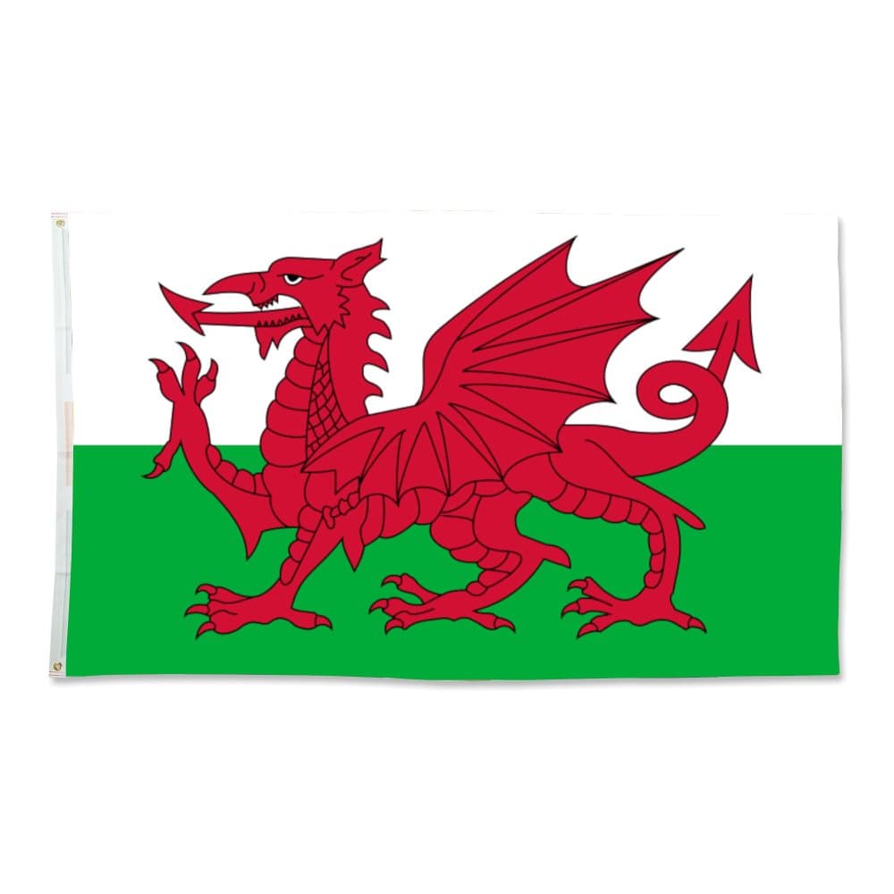Bristol Novelty Miniature Welsh Flag