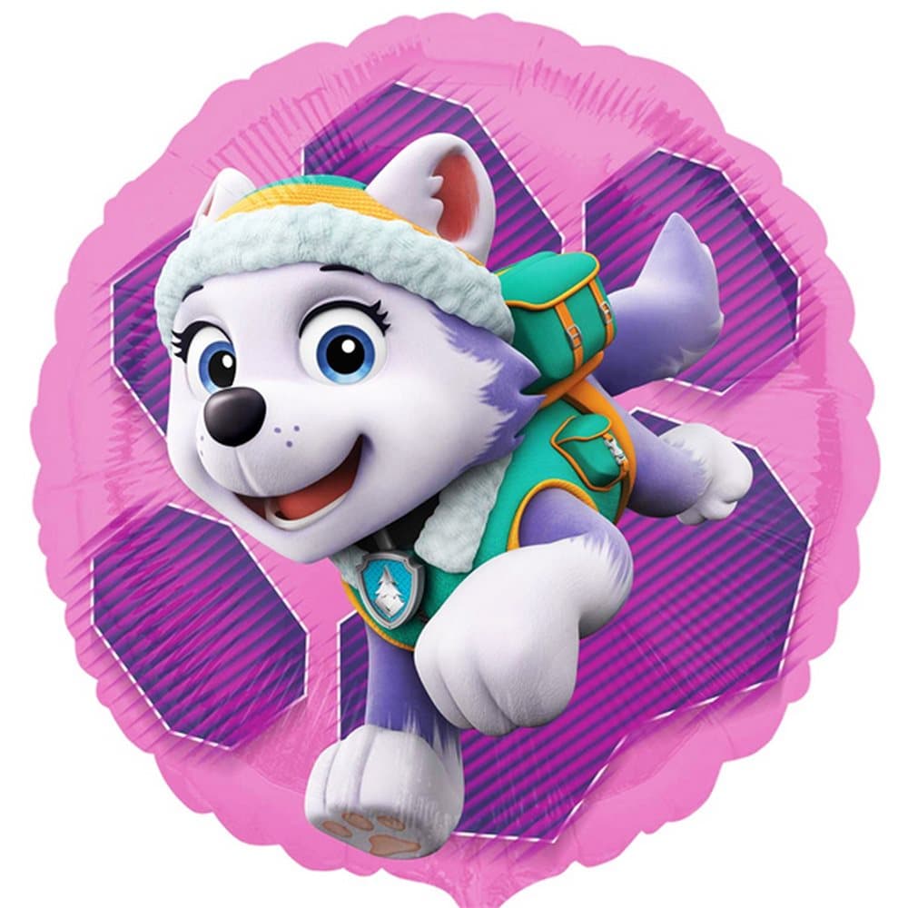 Anagram 18 Inch Paw Patrol Skye & Everest Circle Foil Balloon