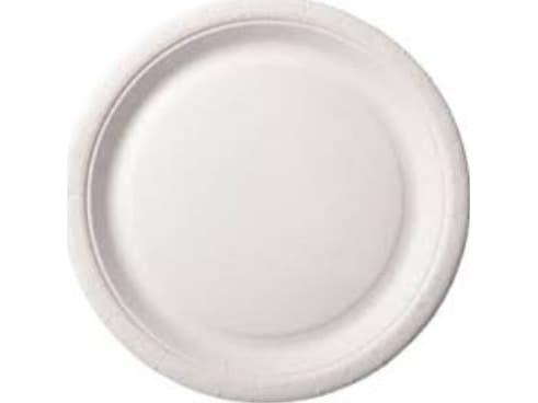 Staples paper dinner plate 22cm white 100 pieces per package (PP0477)