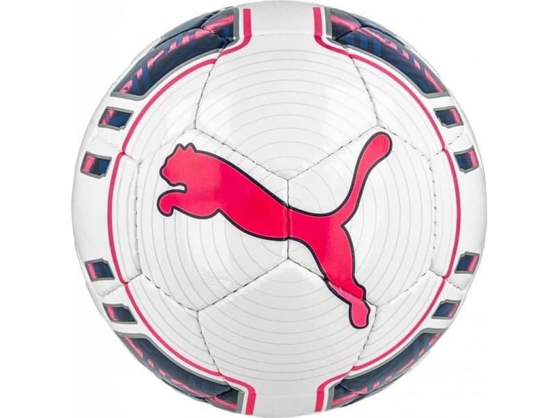 Puma Football Puma evoPOWER 4 Futsal