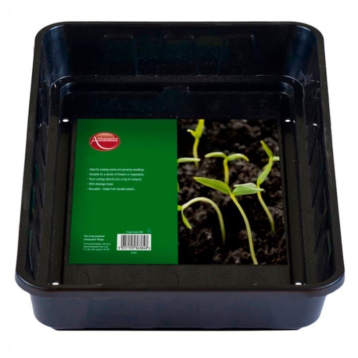 Ambassador Seed Tray (Pack of 5)