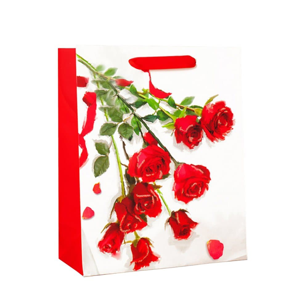 Simon Elvin Standard Floral Gift Bags Pack Of 6)