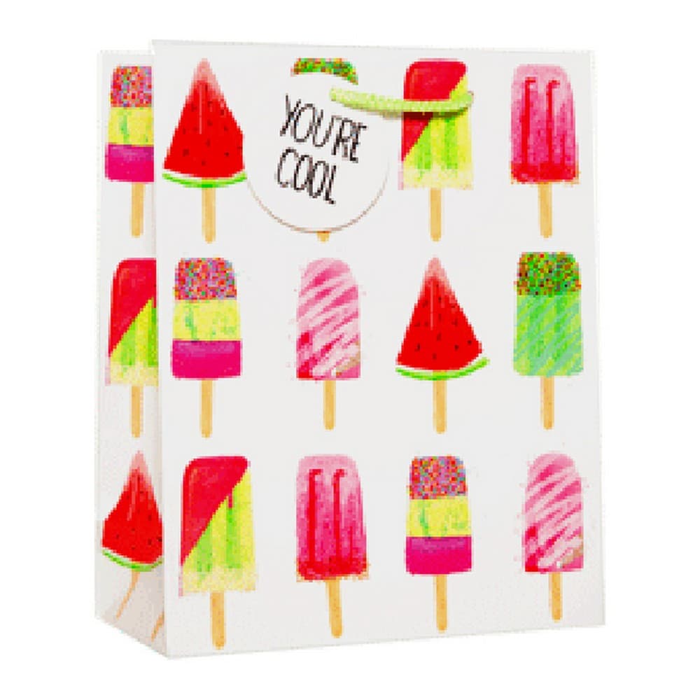 Simon Elvin Matt Ice Cream Gifts Bags (Pack of 6)