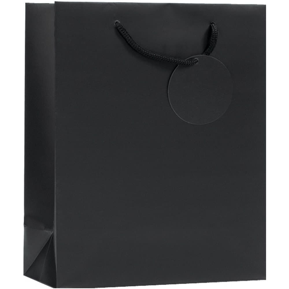 SE Finishing Touch Single Colour Gift Bags (Pack Of 6)