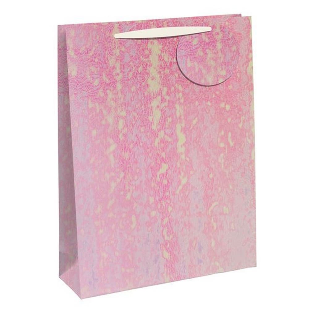 Eurowrap Iridescent Embossed Gift Bags (Pack of 6)