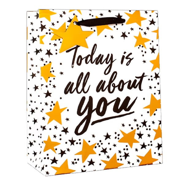 Simon Elvin Today Is About You Foil Gifts Bag (Pack of 6)