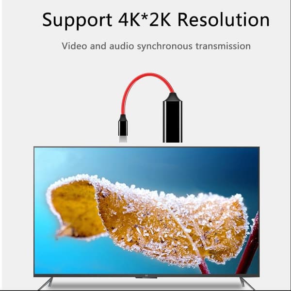 USB-C till HDMI adapter 4K*2K