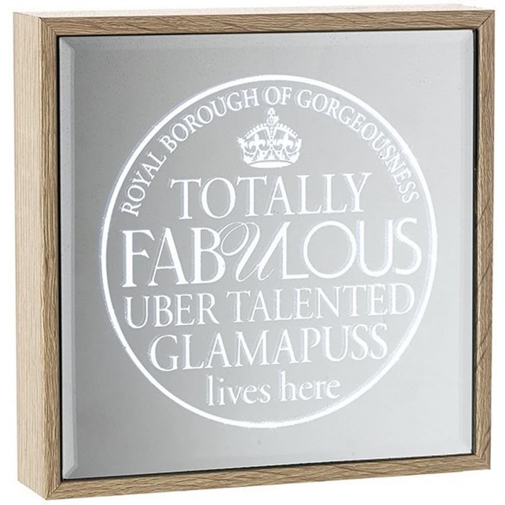 Fabulous Glamapuss Light Up Frame Mirror
