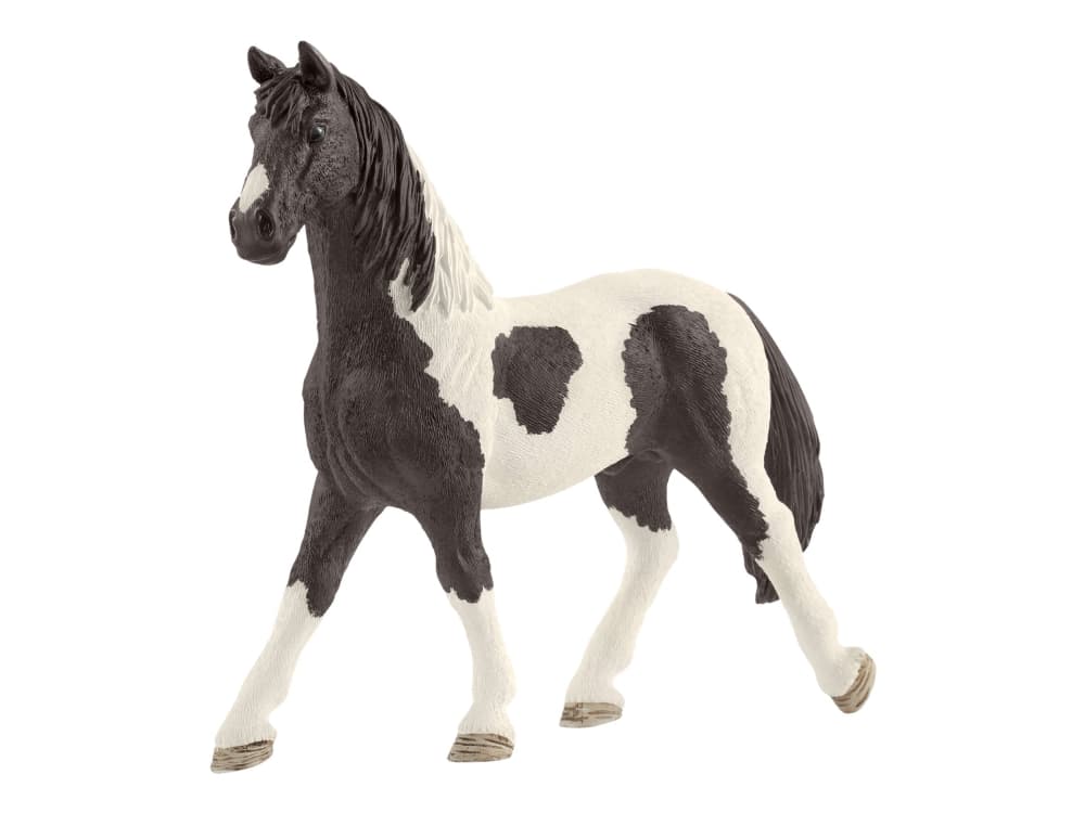 Schleich Horse Club Rider café, Multifärg