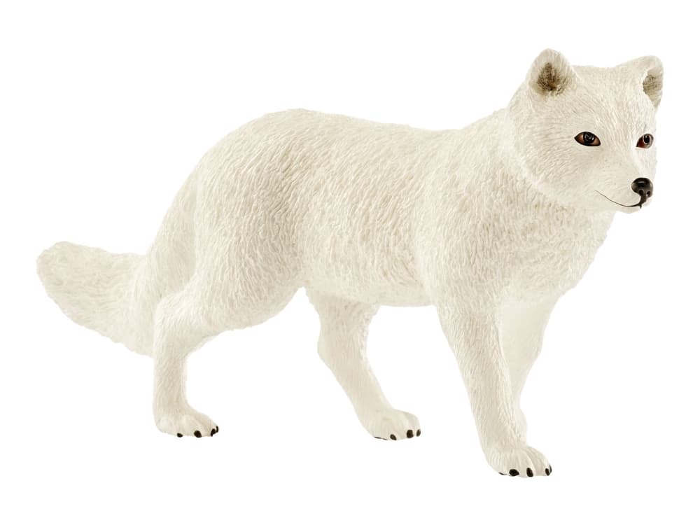 Schleich Wild Life - Arktisk räv