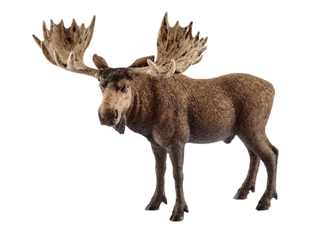 Schleich Moose bull