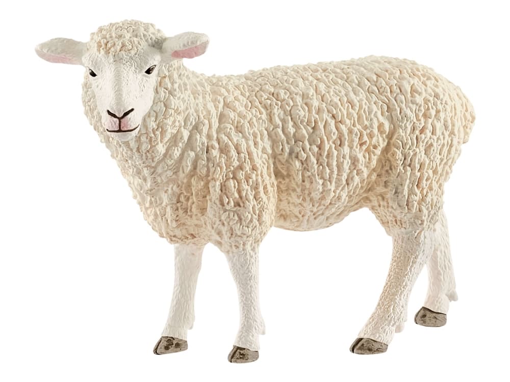 Schleich Sheep