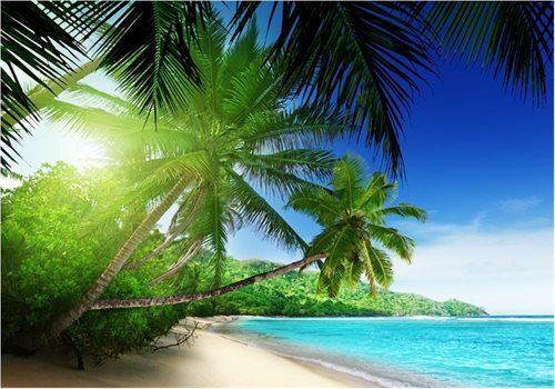 Bild av Nonwoven Fototapet Paradise Beach - en kvalitetstapet till marknads bästa pris!