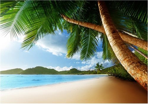 Bild av Nonwoven Foto Tapet Lonely Beach - en kvalitetstapet till marknads bästa pris!