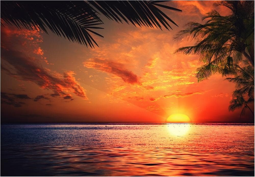 Nonwoven Foto Tapet Carribean Sundown - väggdekor som gör skillnad!