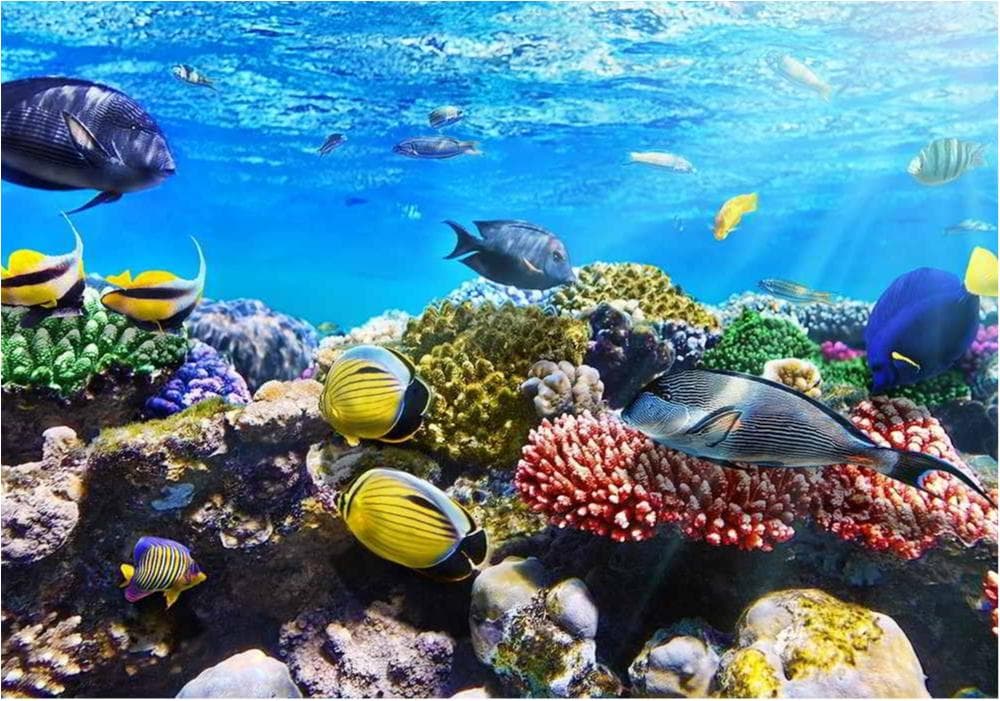 Nonwoven Fototapet Underwater Reef - väggdekor som gör skillnad!