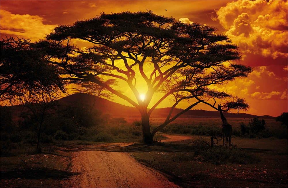 Fototapet Sunset Landscape