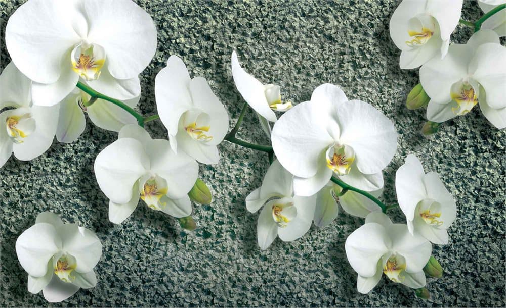 Fototapet Flowers