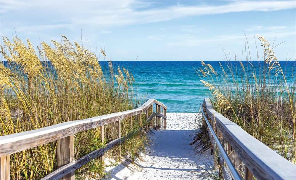 Fototapet Beach Path Sea Sand