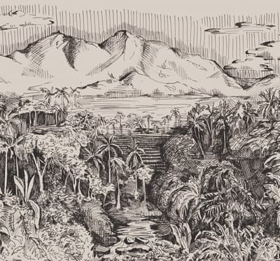 Stapelgoed - Fototapet non-woven - Jungle Landskap - 300 x 280 cm