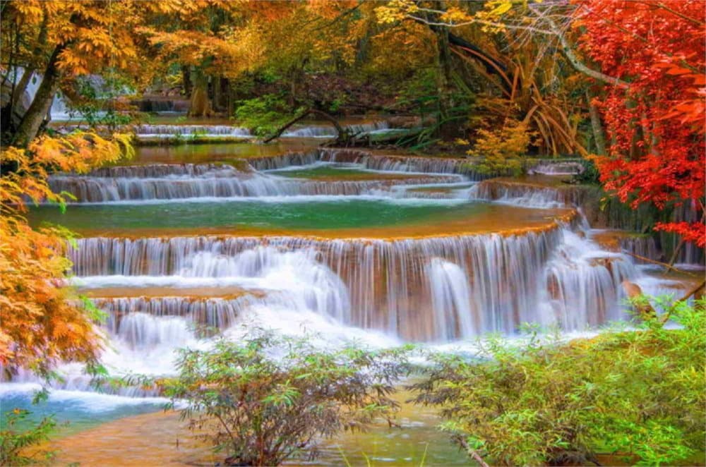 Fototapet Waterfall in Rain Forest
