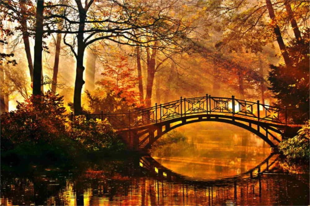 Fototapet Misty Park Bridge