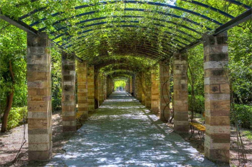 Fototapet Garden of Athens