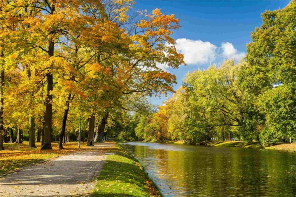 Fototapet River in Autumn Park